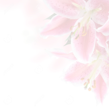 Image of flower